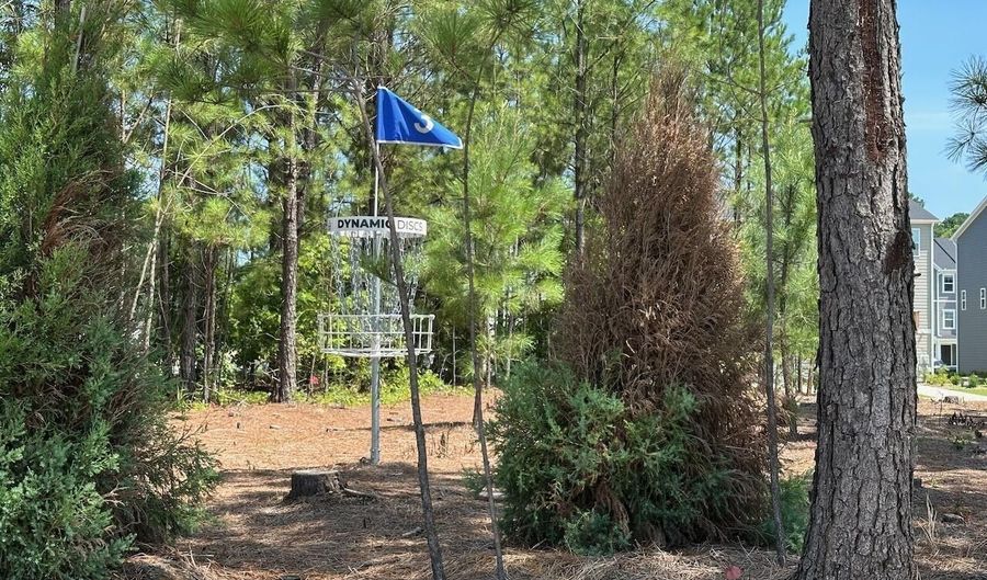 328 Carolina Springs Blvd, Apex, NC 27539 - 3 Beds, 4 Bath