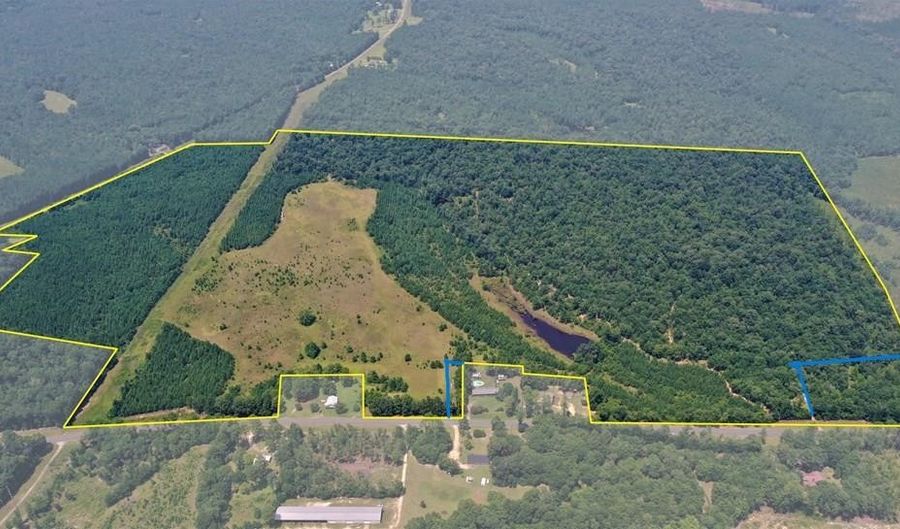 170 Acres On Coleman Rd, Fort Gaines, GA 39851 - 0 Beds, 0 Bath