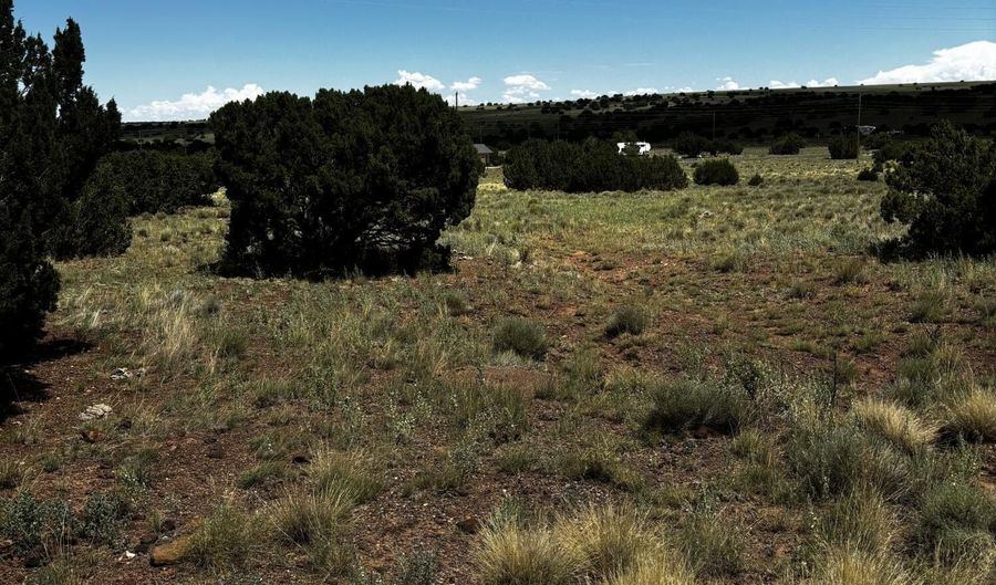 Tbd 212-12-014E, Concho, AZ 85924 - 0 Beds, 0 Bath
