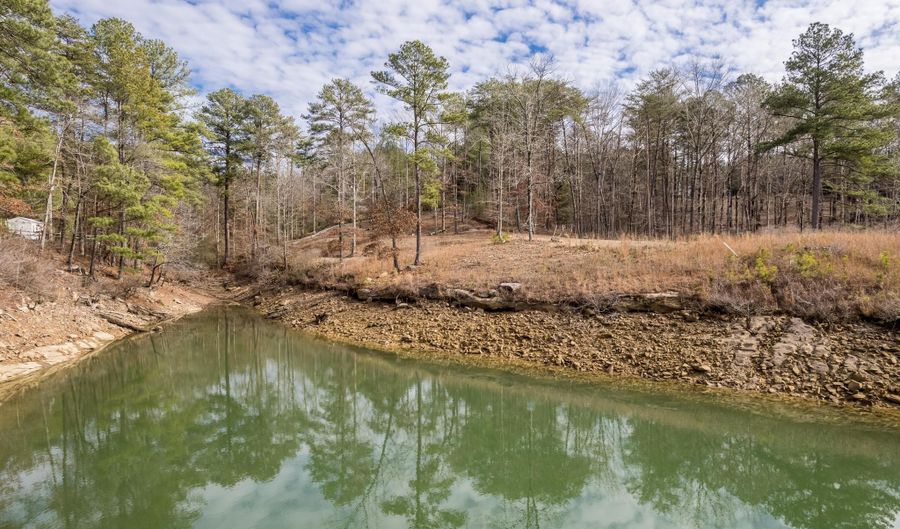 938 ARLEY LANDING Rd, Arley, AL 35541 - 0 Beds, 0 Bath