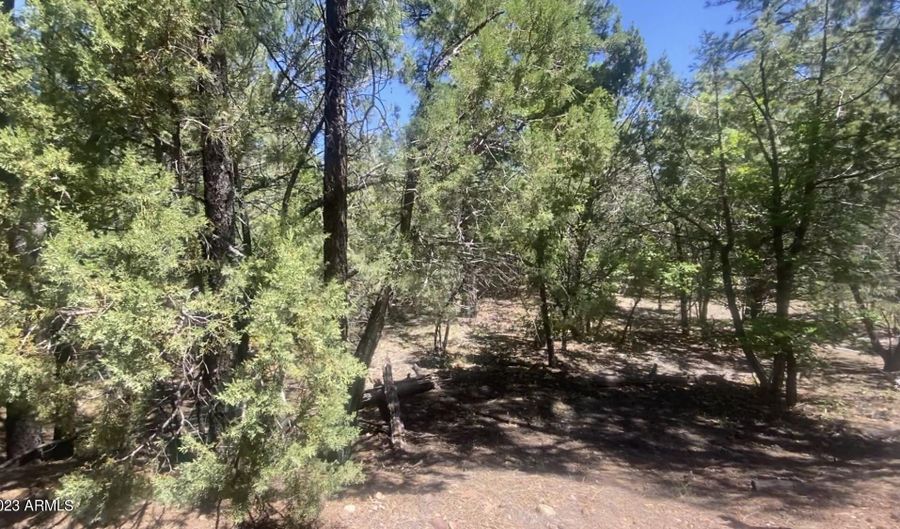 Tbd Davis Lane, Pinetop Lakeside, AZ 85929 - 0 Beds, 0 Bath