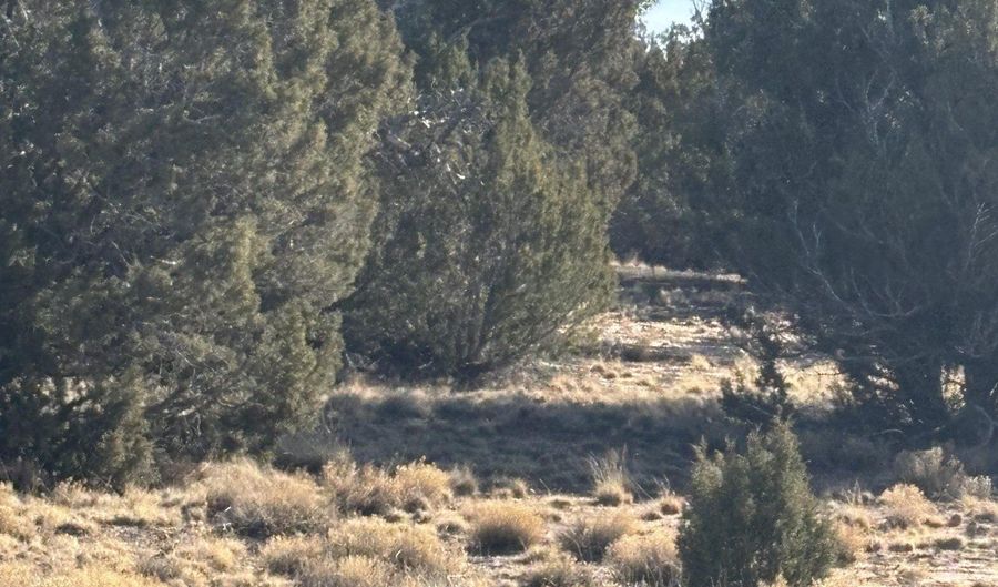 26 County Road 3048, Concho, AZ 85924 - 0 Beds, 0 Bath