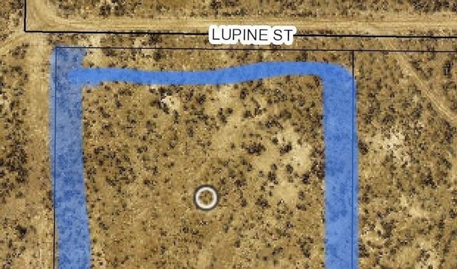 Lupine/Chicksaw Street, Elko, NV 89801 - 0 Beds, 0 Bath