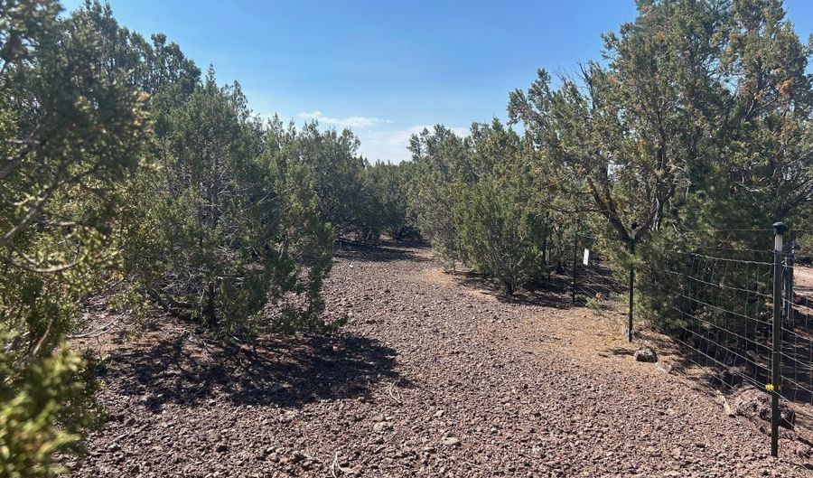 Lot 11 Uphill Trail 11, Vernon, AZ 85940 - 0 Beds, 0 Bath