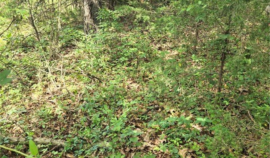 Witherby Drive lot 1, Bella Vista, AR 72714 - 0 Beds, 0 Bath