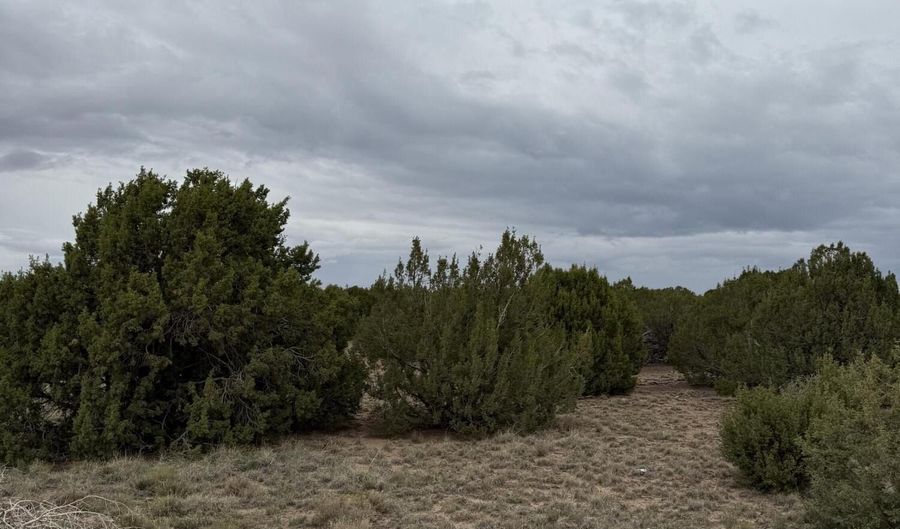 55 Ponderosa Dr, Concho, AZ 85924 - 0 Beds, 0 Bath