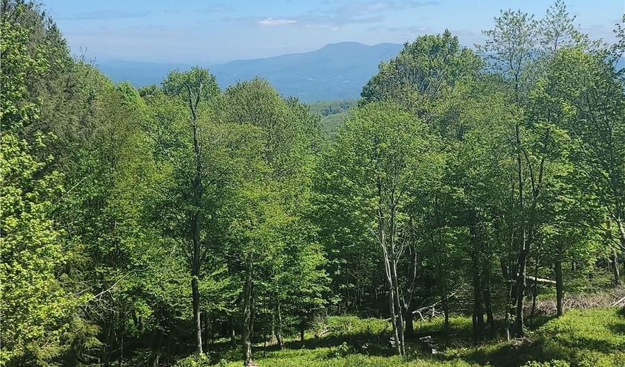 Tbd Fox Fire Drive, Banner Elk, NC 28604 - 0 Beds, 0 Bath