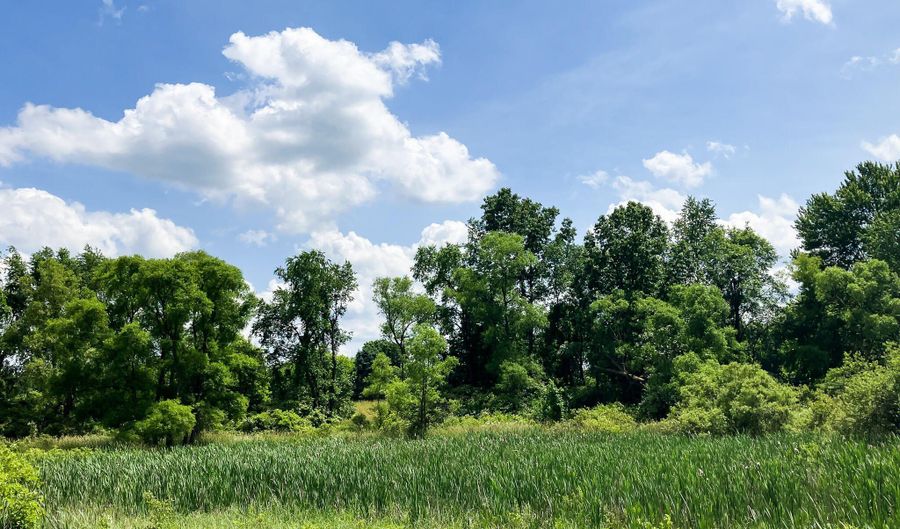 9250 92nd St SE, Alto, MI 49302 - 0 Beds, 0 Bath