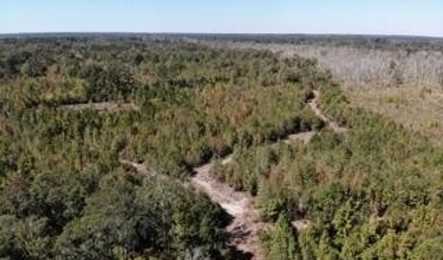 Broxton Bridge Road, Bamberg, SC 29003 - 0 Beds, 0 Bath