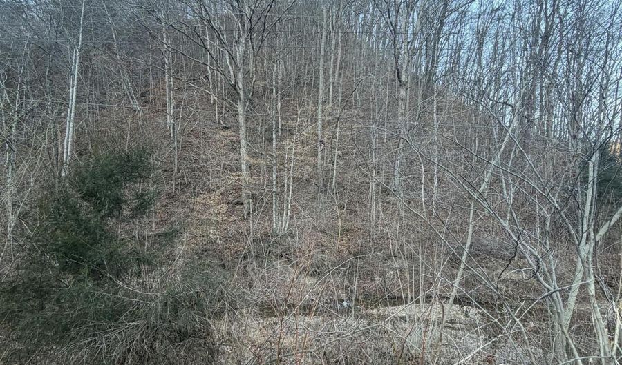Highway 25E, Bean Station, TN 37708 - 0 Beds, 0 Bath