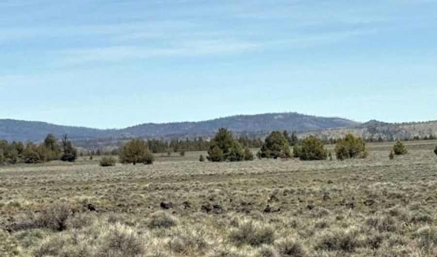 Oregon Pines Road, Beatty, OR 97621 - 0 Beds, 0 Bath