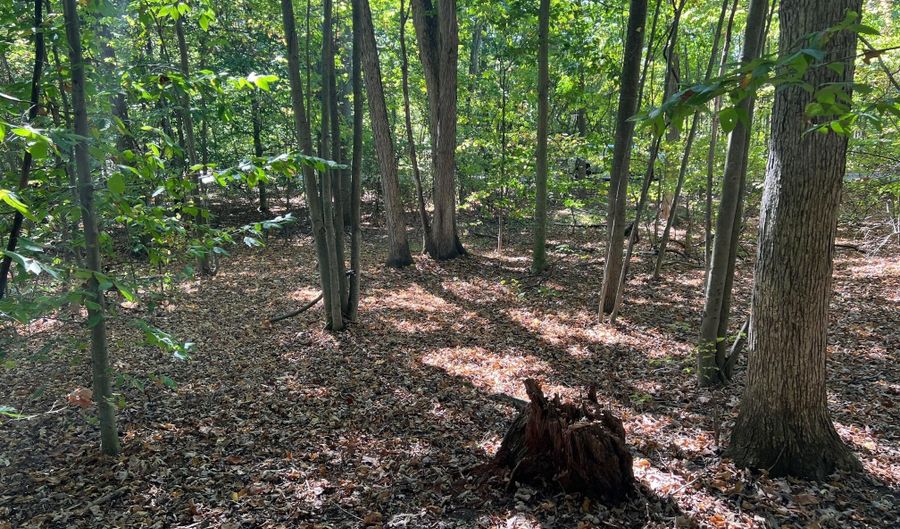 VL Lake Dr lot 174/175, Allegan, MI 49010 - 0 Beds, 0 Bath