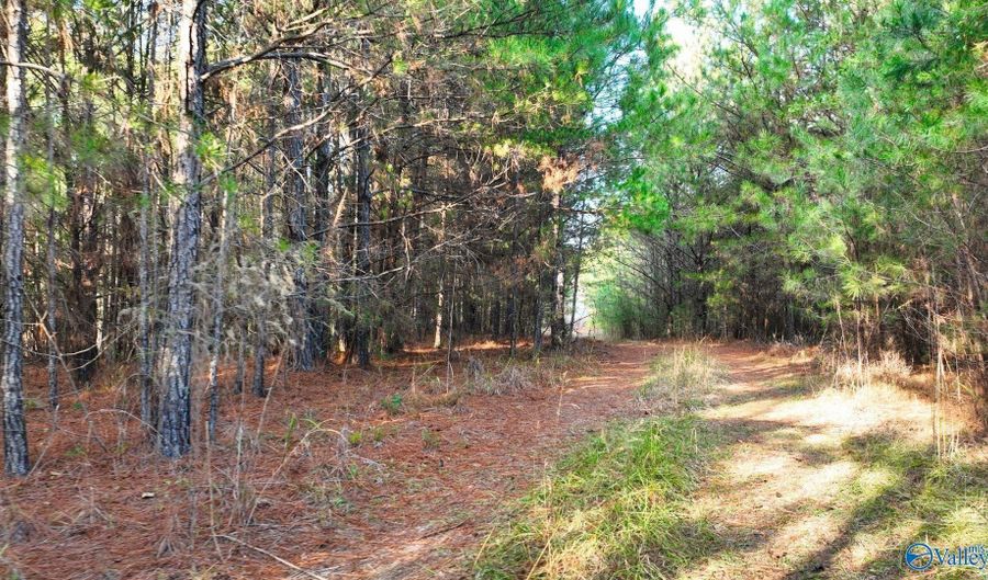 Lot 21 Arley Landing Drive, Arley, AL 35541 - 0 Beds, 0 Bath
