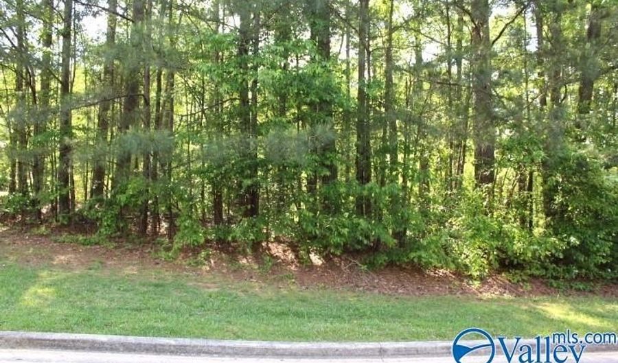 Lots 6 And 7 Lea Christine Circle, Arab, AL 35016 - 0 Beds, 0 Bath