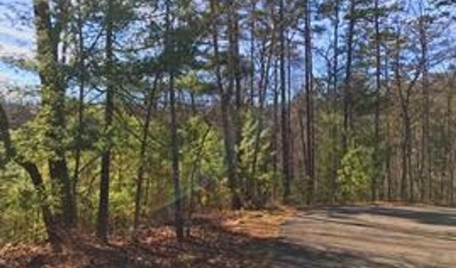 834 PAKANLE Rdg Lot 834, Jasper, GA 30143 - 0 Beds, 0 Bath