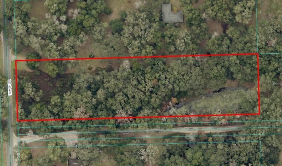 14155 NE 47TH Ave, Anthony, FL 32617 - 0 Beds, 0 Bath
