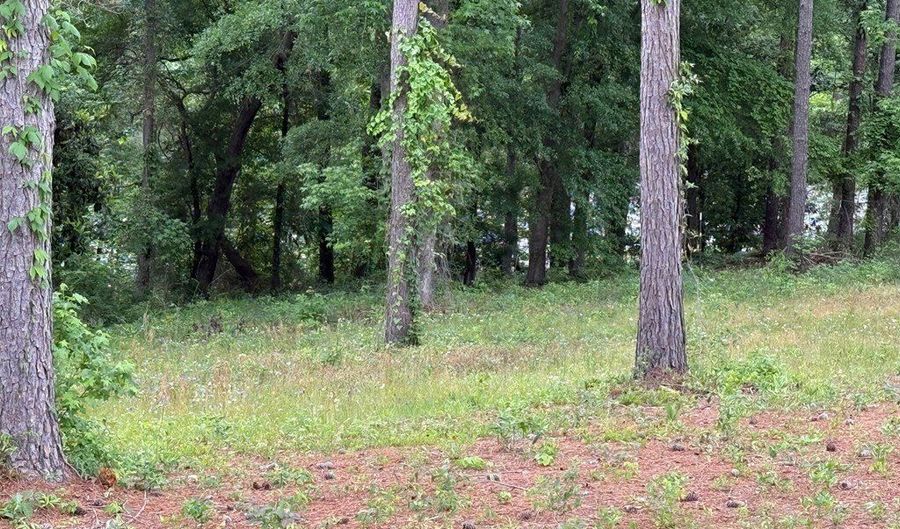 0 Powell Trce, Abbeville, AL 36310 - 0 Beds, 0 Bath