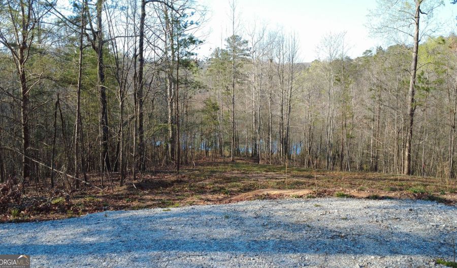 Purvis Road, Baldwin, GA 30511 - 0 Beds, 0 Bath