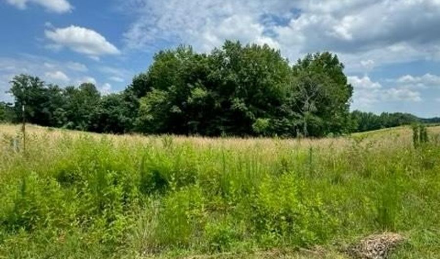 Lot 3 H O Allison Rd, Baxter, TN 38544 - 0 Beds, 0 Bath