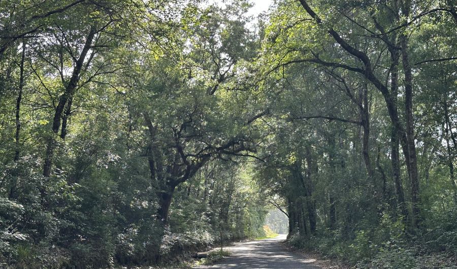 80 AC Old River Rd, Baker, FL 32531 - 0 Beds, 0 Bath