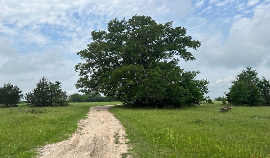 R13945 A0049 J Peterson Tract 11 Acres, Anderson, TX 77830 - 0 Beds, 0 Bath