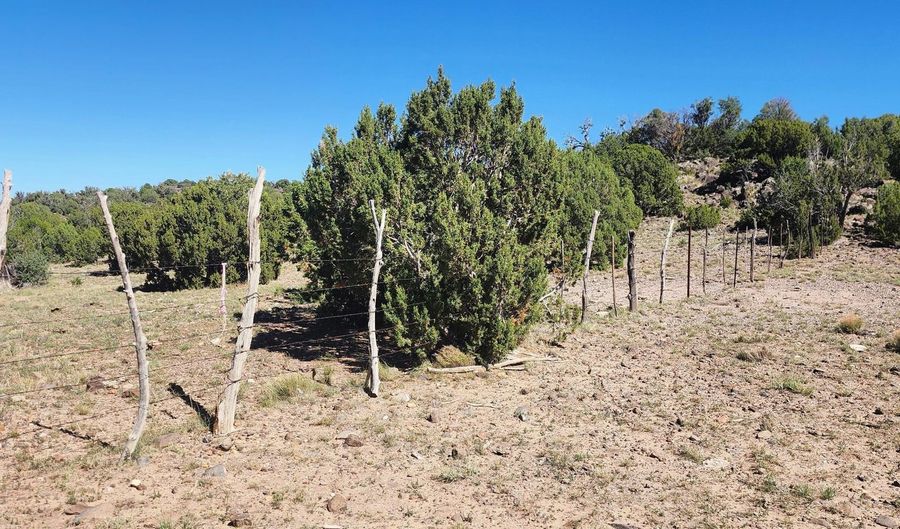 85 N 8522, Concho, AZ 85924 - 0 Beds, 0 Bath