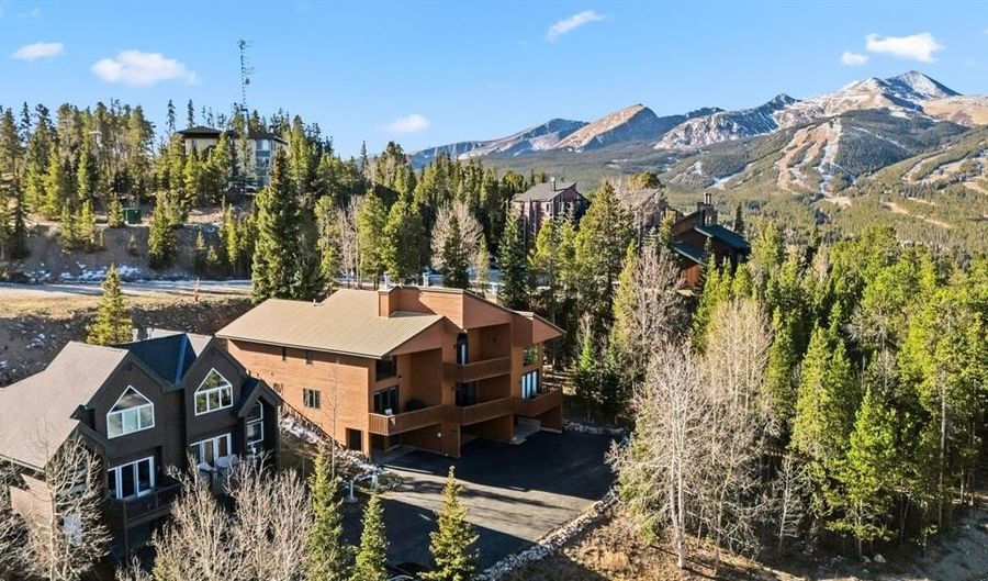 1682 BOREAS PASS Rd C, Breckenridge, CO 80424 - 2 Beds, 3 Bath