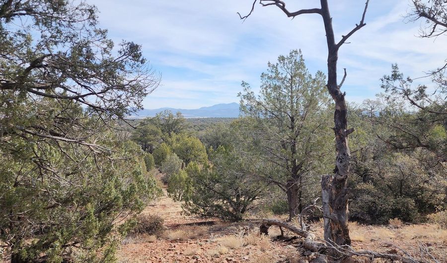 S2 Lot 92 Off Indian Springs, Ash Fork, AZ 86320 - 0 Beds, 0 Bath