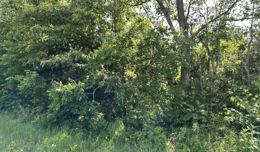 000 E Armstrong Dr, Ash Flat, AR 72513 - 0 Beds, 0 Bath