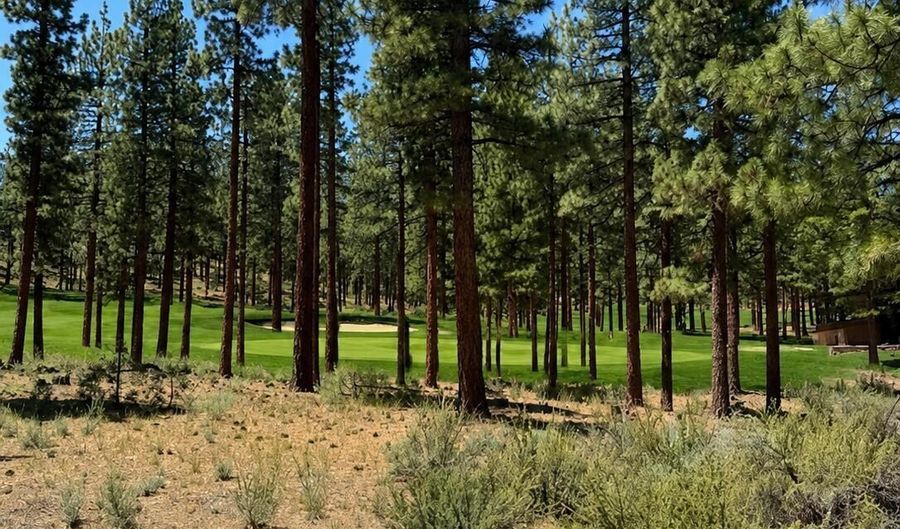 195 Walton Toll Rd Lot 210, Carson City, NV 89705 - 0 Beds, 0 Bath