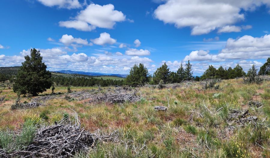 TBD SE Pony Springs Road, Prineville, OR 97754 - 0 Beds, 0 Bath