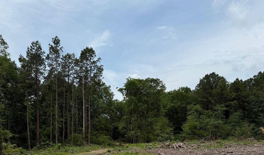 2367 346 Hwy, Amity, AR 71921 - 0 Beds, 0 Bath