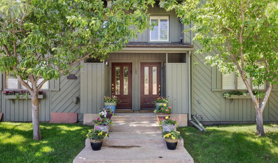 125 E Hyman Ave 1A, Aspen, CO 81611 - 2 Beds, 2 Bath