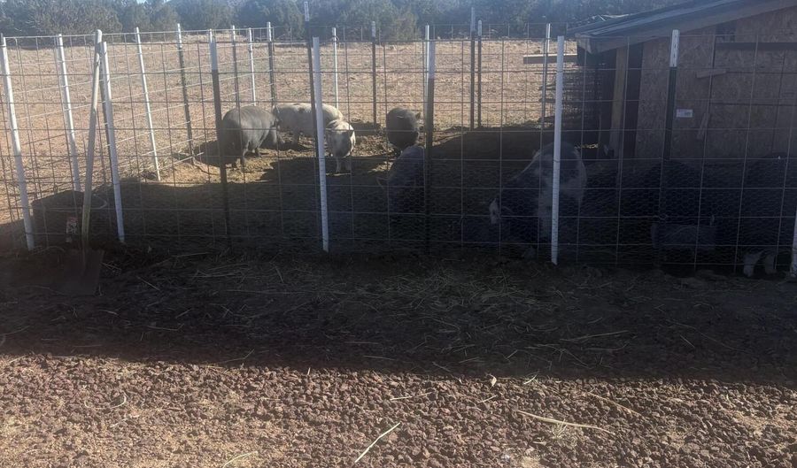 219 N 8716, Concho, AZ 85924 - 1 Beds, 1 Bath