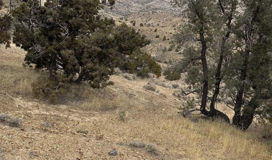 00432147 APN 004-321-47 Trwy, Dayton, NV 89403 - 0 Beds, 0 Bath