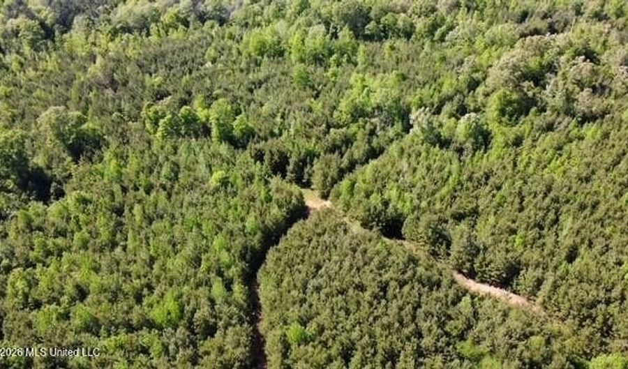 SW Auburn Drive, Bogue Chitto, MS 39629 - 0 Beds, 0 Bath