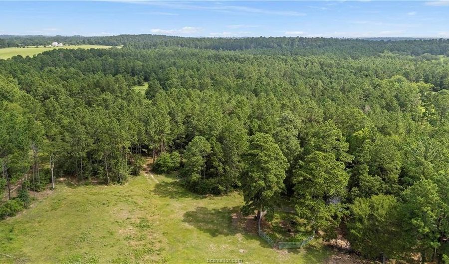 6779 County Road 215, Anderson, TX 77830 - 0 Beds, 0 Bath