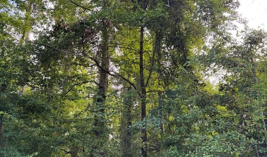 Lot 252 Douglas Drive, Abbeville, AL 36310 - 0 Beds, 0 Bath