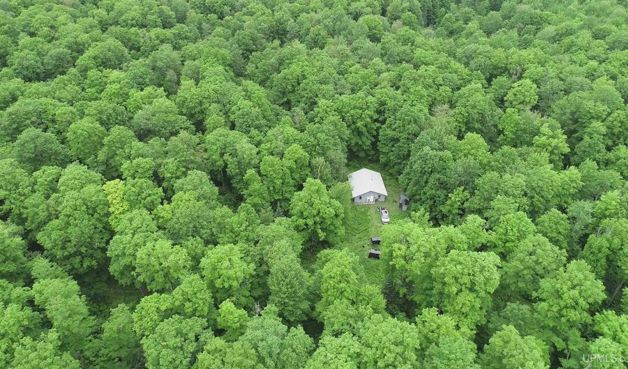 40 Acres The Grade, Amasa, MI 49920 - 0 Beds, 0 Bath