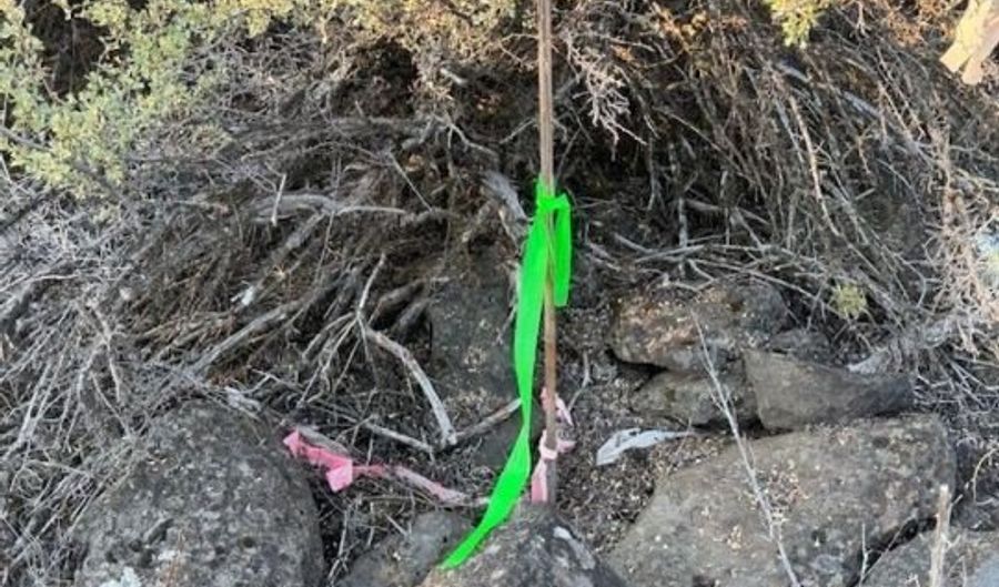 Brant Drive, Bonanza, OR 97623 - 0 Beds, 0 Bath