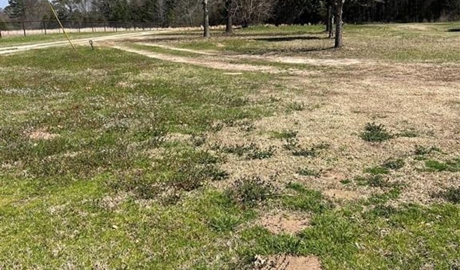 Tbd FM 779, Alba, TX 75410 - 0 Beds, 0 Bath