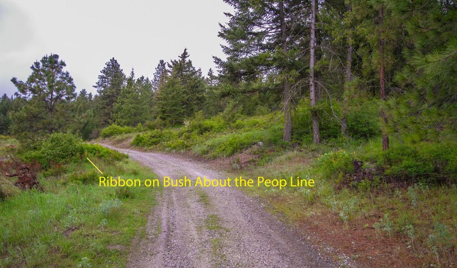 2420 CEDONIA ADDY Rd, Addy, WA 99101 - 0 Beds, 0 Bath
