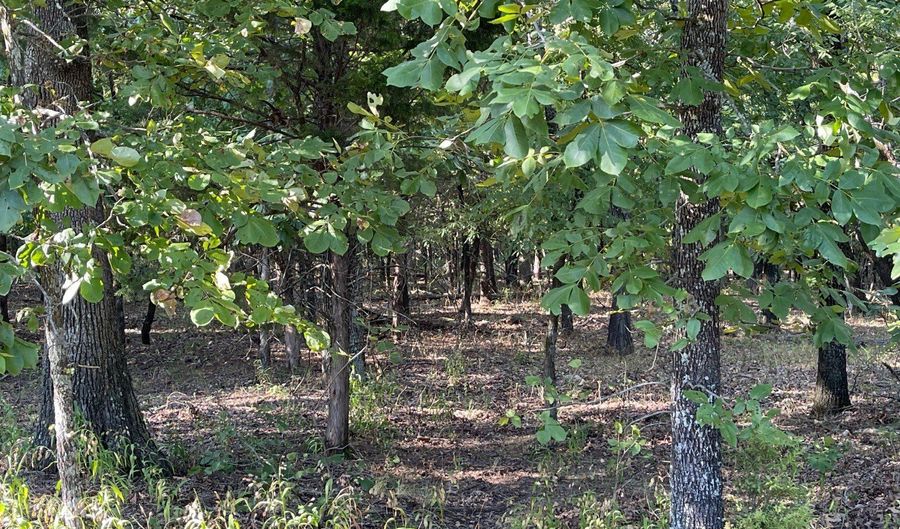 Lot 77 Eufaula Lake Drive, McAlester, OK 74501 - 0 Beds, 0 Bath