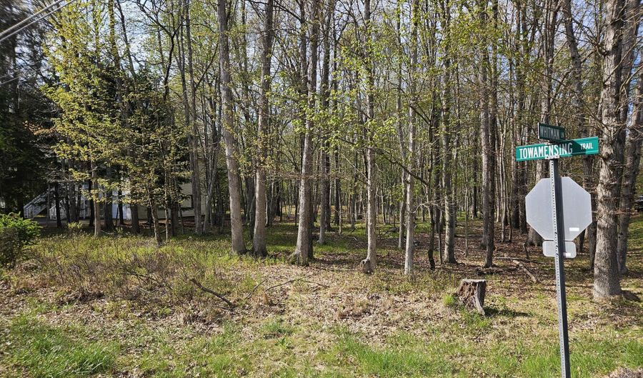 Towamensing Trail & Whitman Lane, Albrightsville, PA 18210 - 0 Beds, 0 Bath