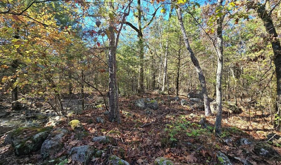 TBD Raw Land, Bates, AR 74953 - 0 Beds, 0 Bath