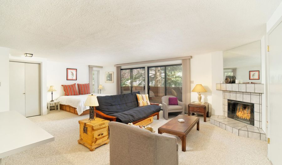 935 E Hopkins Ave 6, Aspen, CO 81611 - 0 Beds, 1 Bath