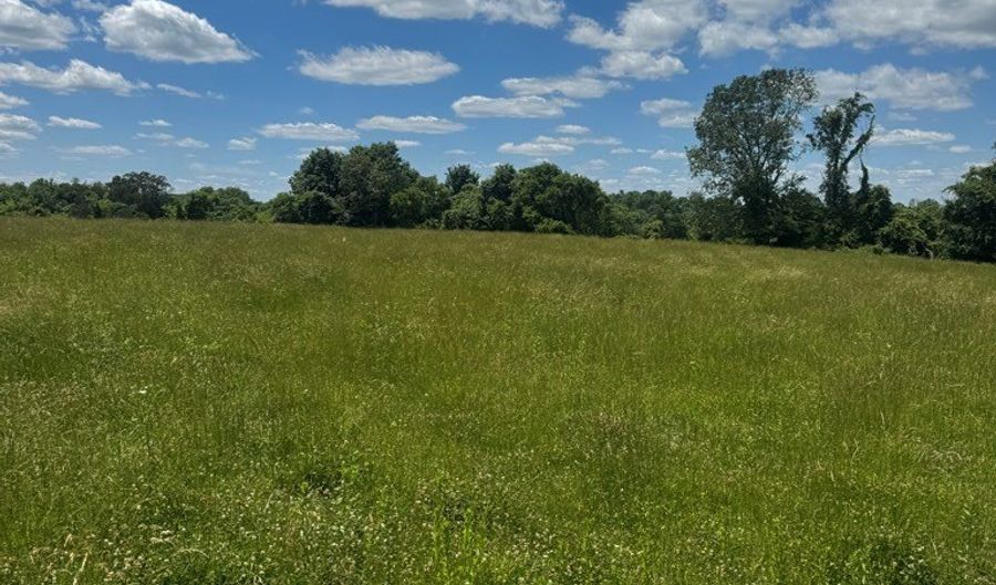 Tract 4 Old Kentucky Rd Hwy 528 lot 4, Albany, KY 42602 - 0 Beds, 0 Bath