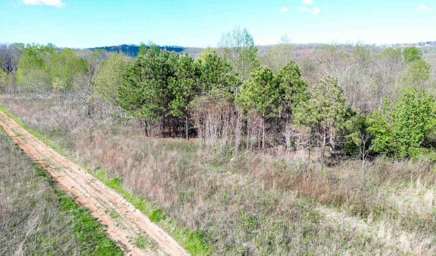 10 Acres County Road 792, Flat Rock, AL 35966 - 0 Beds, 0 Bath