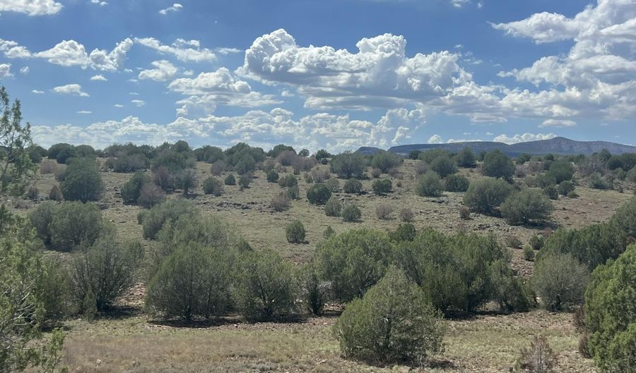 29 Of An Un Named Rd, Ash Fork, AZ 86320 - 0 Beds, 0 Bath