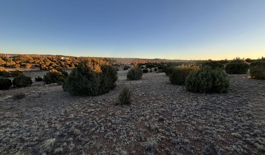 4970 Hollyhock St, Clay Springs, AZ 85923 - 0 Beds, 0 Bath